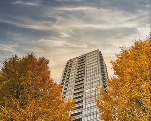 Preview wallpaper skyscraper, building, trees, architecture