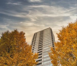 Preview wallpaper skyscraper, building, trees, architecture