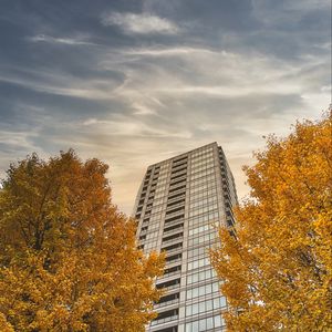 Preview wallpaper skyscraper, building, trees, architecture