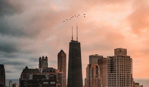 Preview wallpaper skyscraper, buildings, city, architecture, evening, birds