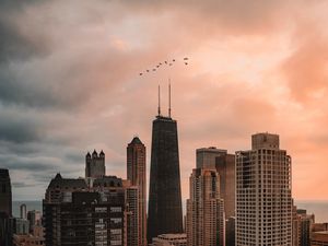 Preview wallpaper skyscraper, buildings, city, architecture, evening, birds