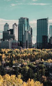 Preview wallpaper skyscraper, buildings, mountains, forest