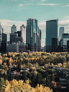 Preview wallpaper skyscraper, buildings, mountains, forest