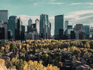 Preview wallpaper skyscraper, buildings, mountains, forest