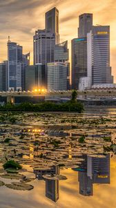 Preview wallpaper skyscrapers, architecture, buildings, city, reflection, water lily