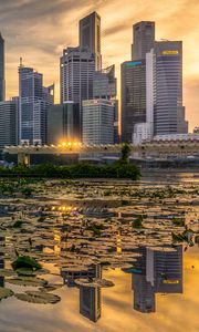 Preview wallpaper skyscrapers, architecture, buildings, city, reflection, water lily