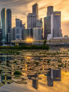 Preview wallpaper skyscrapers, architecture, buildings, city, reflection, water lily