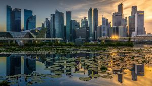 Preview wallpaper skyscrapers, architecture, buildings, city, reflection, water lily