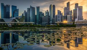 Preview wallpaper skyscrapers, architecture, buildings, city, reflection, water lily