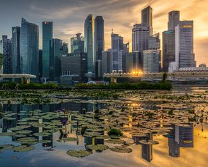 Preview wallpaper skyscrapers, architecture, buildings, city, reflection, water lily