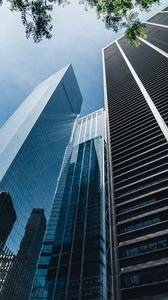 Preview wallpaper skyscrapers, buildings, bottom view, branch