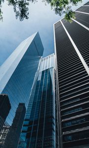 Preview wallpaper skyscrapers, buildings, bottom view, branch