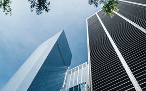 Preview wallpaper skyscrapers, buildings, bottom view, branch