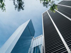 Preview wallpaper skyscrapers, buildings, bottom view, branch