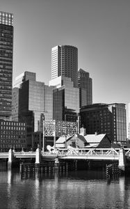 Preview wallpaper skyscrapers, buildings, bridge, river, city, black and white
