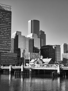 Preview wallpaper skyscrapers, buildings, bridge, river, city, black and white