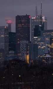 Preview wallpaper skyscrapers, buildings, lights, twilight, trees, city