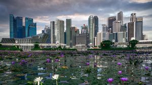 Preview wallpaper skyscrapers, buildings, pond, flowers, city