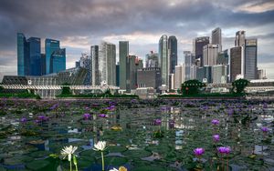 Preview wallpaper skyscrapers, buildings, pond, flowers, city