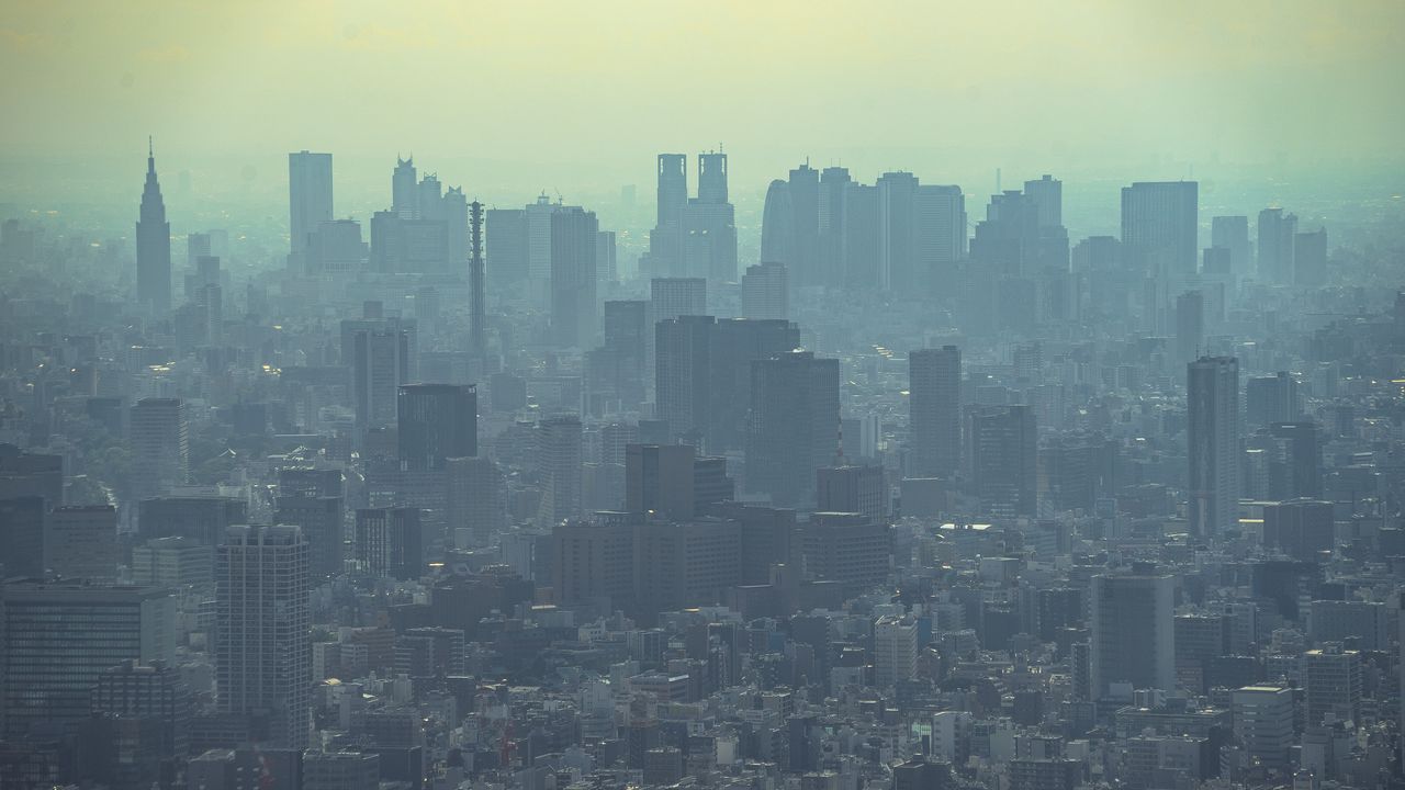 Wallpaper skyscrapers, buildings, smog, city