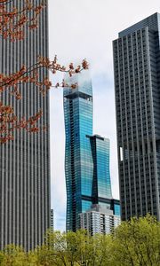 Preview wallpaper skyscrapers, buildings, trees, architecture, city