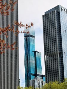 Preview wallpaper skyscrapers, buildings, trees, architecture, city
