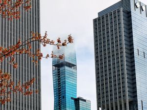 Preview wallpaper skyscrapers, buildings, trees, architecture, city