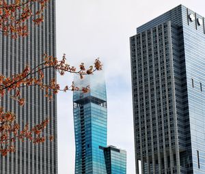 Preview wallpaper skyscrapers, buildings, trees, architecture, city