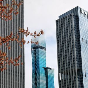 Preview wallpaper skyscrapers, buildings, trees, architecture, city