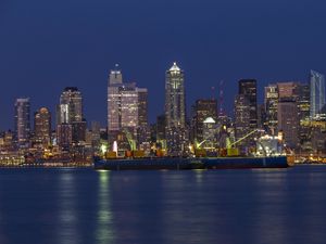 Preview wallpaper skyscrapers, lights, buildings, city, sea, night