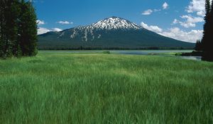 Preview wallpaper sleeping volcano, mountain, top, trees, river, meadow, grass