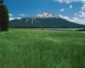 Preview wallpaper sleeping volcano, mountain, top, trees, river, meadow, grass