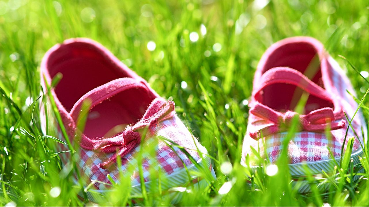 Wallpaper slippers, grass, shoes, bright