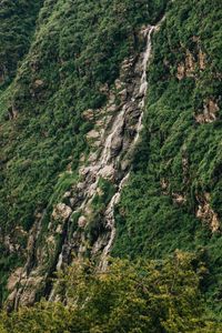 Preview wallpaper slope, cliff, trees, green, stones