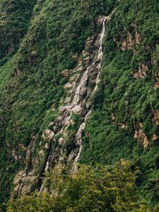 Preview wallpaper slope, cliff, trees, green, stones