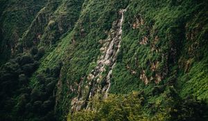 Preview wallpaper slope, cliff, trees, green, stones