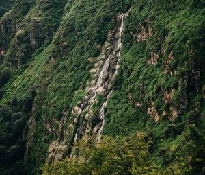 Preview wallpaper slope, cliff, trees, green, stones