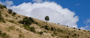 Preview wallpaper slope, field, grass, tree, sky, cloud