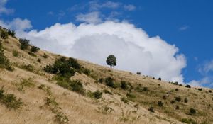 Preview wallpaper slope, field, grass, tree, sky, cloud