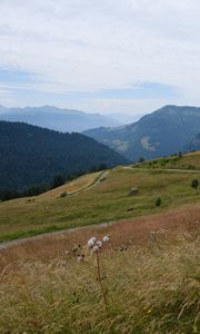 Preview wallpaper slope, field, path, mountains, fog, sky