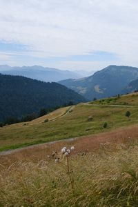 Preview wallpaper slope, field, path, mountains, fog, sky