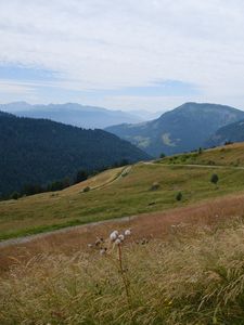 Preview wallpaper slope, field, path, mountains, fog, sky