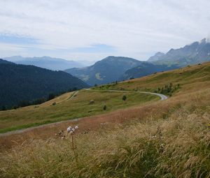 Preview wallpaper slope, field, path, mountains, fog, sky