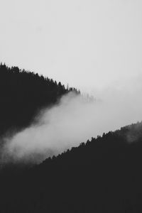 Preview wallpaper slope, fog, bw, trees, forest