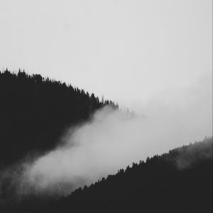 Preview wallpaper slope, fog, bw, trees, forest