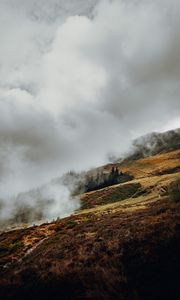 Preview wallpaper slope, fog, clouds, trees, grass