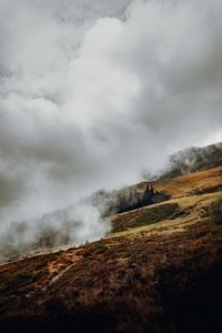 Preview wallpaper slope, fog, clouds, trees, grass
