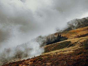 Preview wallpaper slope, fog, clouds, trees, grass