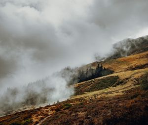 Preview wallpaper slope, fog, clouds, trees, grass