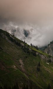 Preview wallpaper slope, fog, mountains, trees, rocks